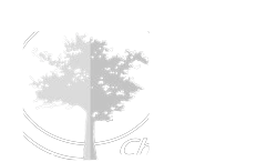 Cannon Pointe Chiropractic